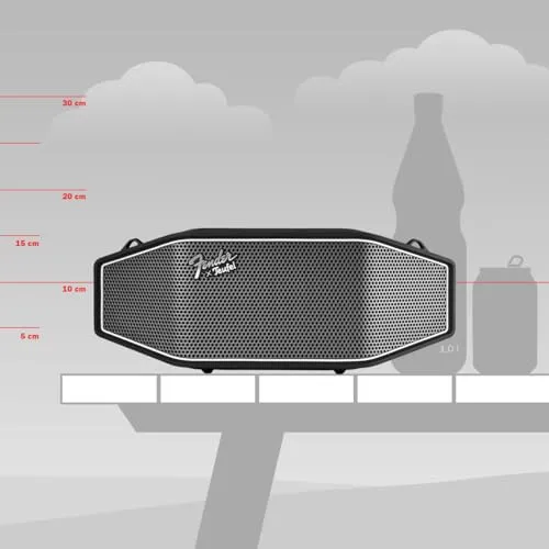 Fender x Teufel ROCKSTER CROSS enceinte Bluetooth portable Steel Black