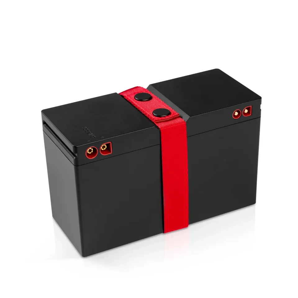 Teufel ROCKSTER Batterie Rockster Neo batterie de rechange