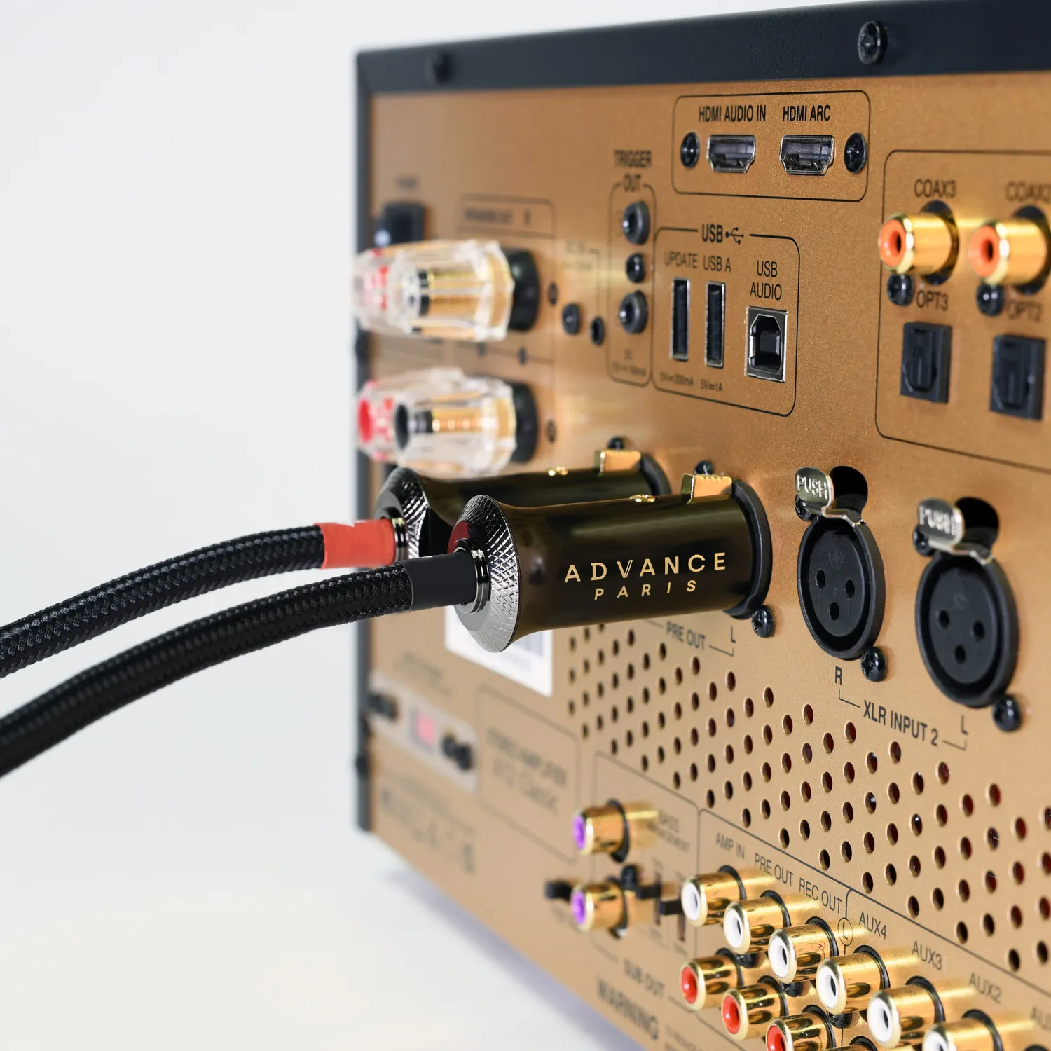 Advance Paris LINK XLR câble audio symétrique