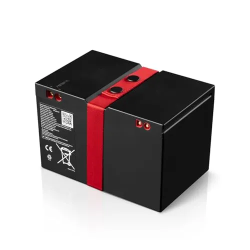 Teufel Rockster 2 batterie LiFePO4 noir rechange
