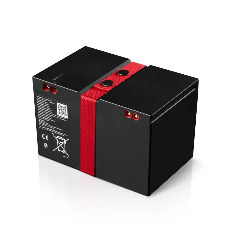 Teufel Rockster 2 batterie LiFePO4 noir rechange