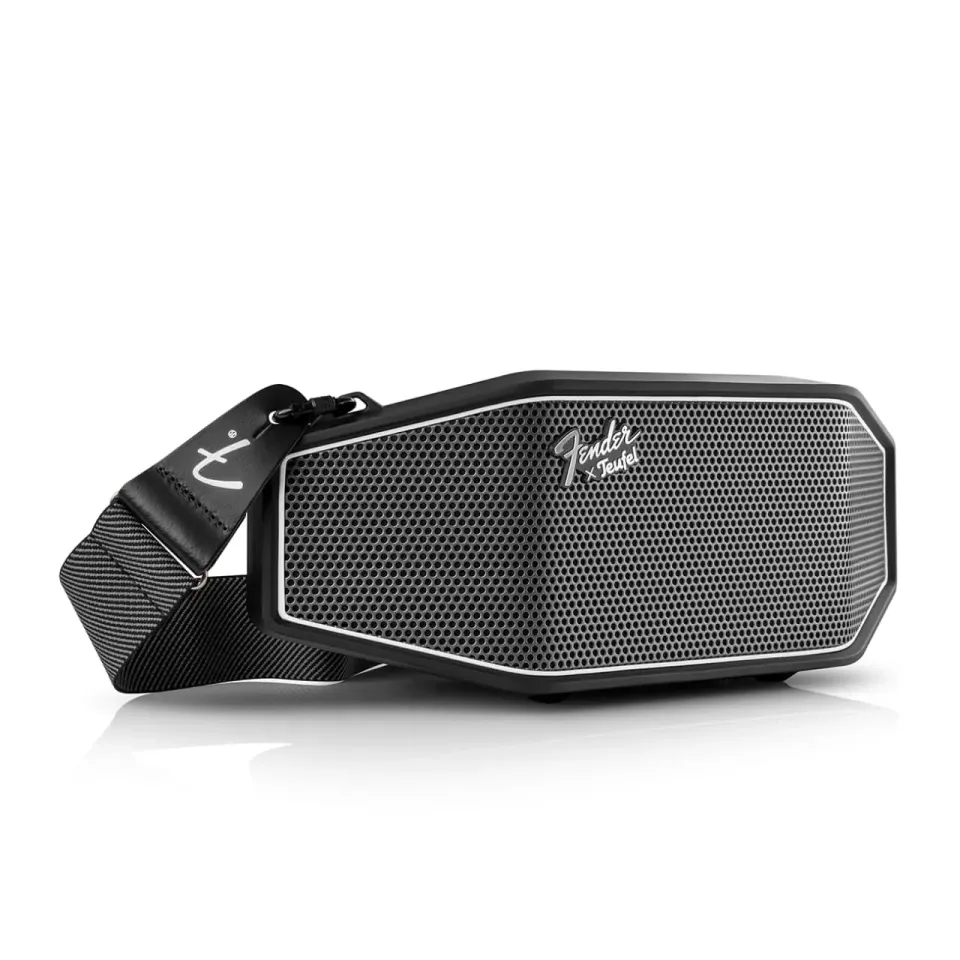 Fender x Teufel ROCKSTER CROSS enceinte Bluetooth portable Steel Black
