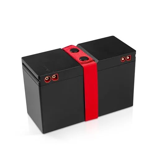 Teufel ROCKSTER Batterie Rockster Neo batterie de rechange
